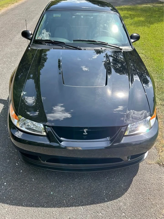 2001 Ford SN95 Mustang Cobra - Image 11 of 20