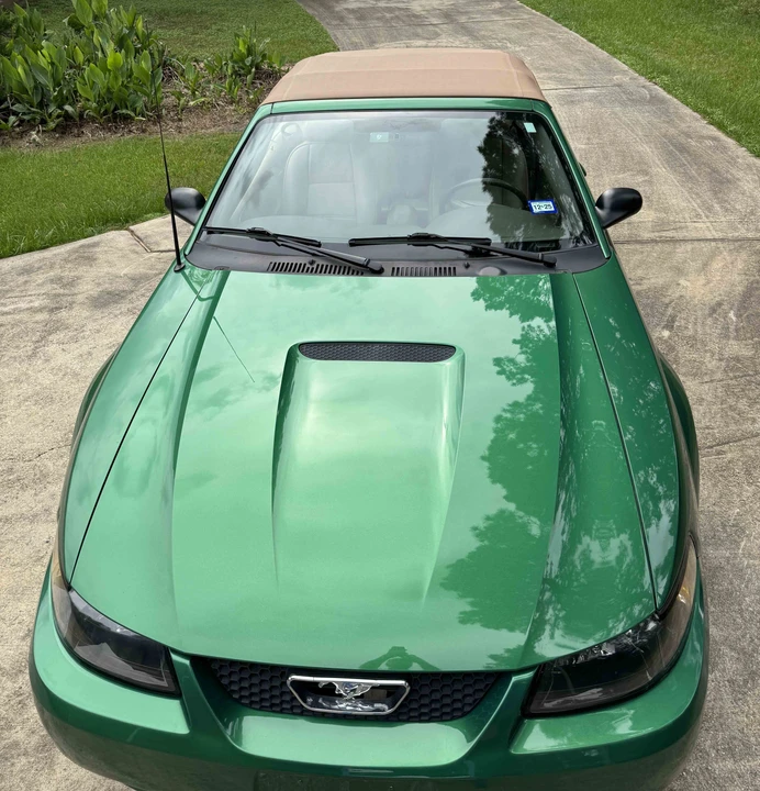 2001 Ford SN95 Mustang - Image 27 of 31