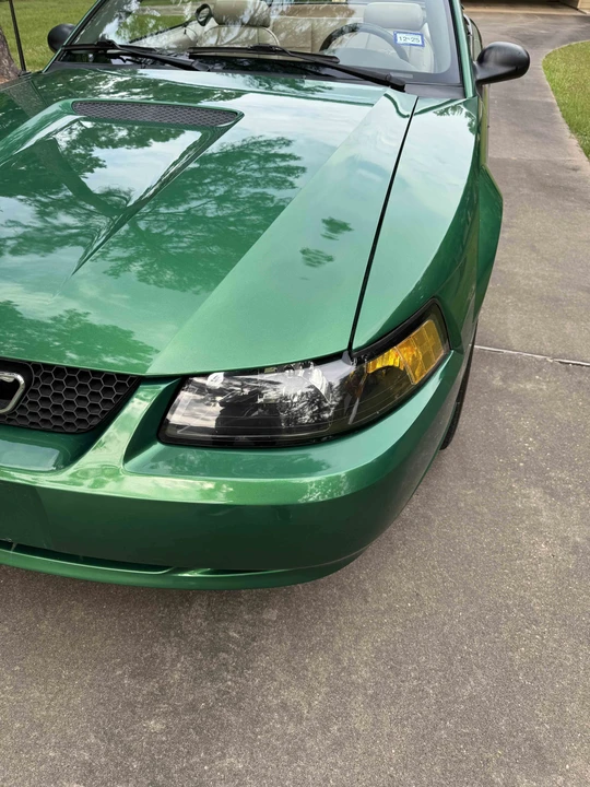 2001 Ford SN95 Mustang - Image 18 of 31