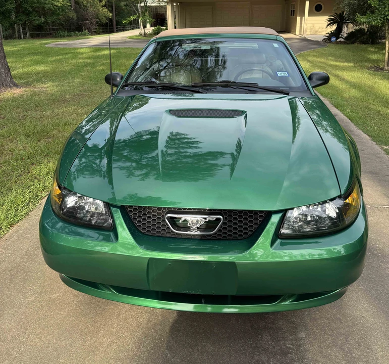2001 Ford SN95 Mustang - Image 10 of 31