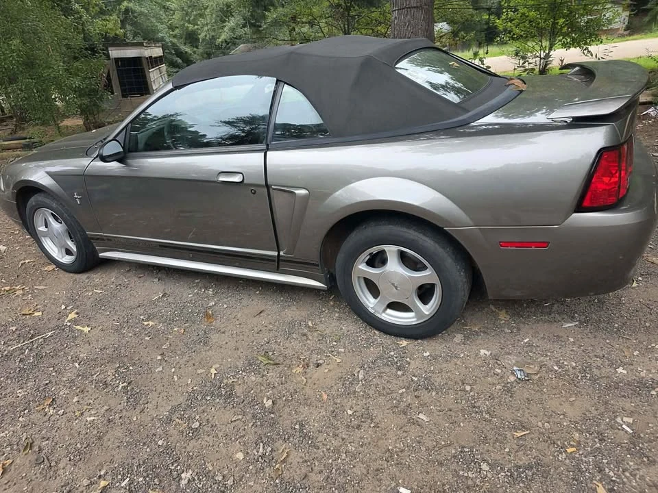 2001 Ford SN95 Mustang - Image 4 of 7
