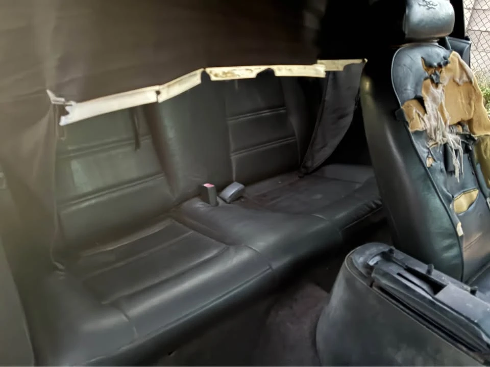 2001 Ford SN95 Mustang - Image 6 of 6