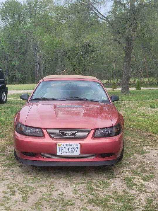 2001 Ford SN95 Mustang - Image 5 of 17