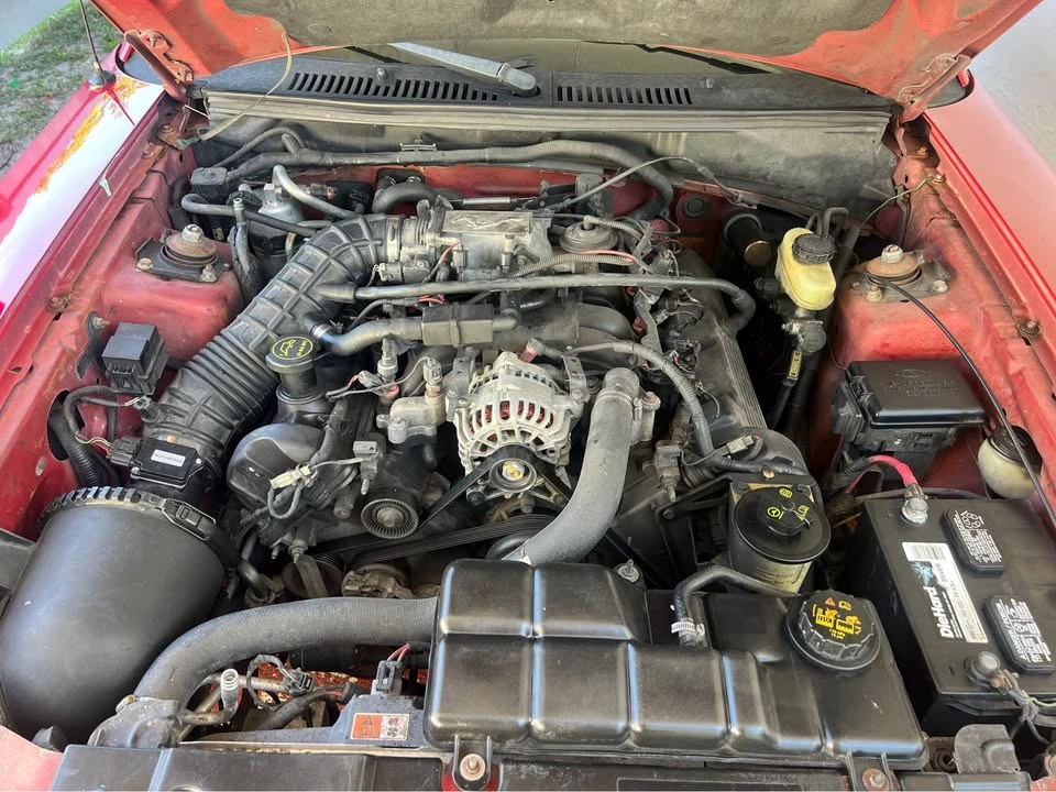 2001 Ford SN95 Mustang - Image 14 of 20