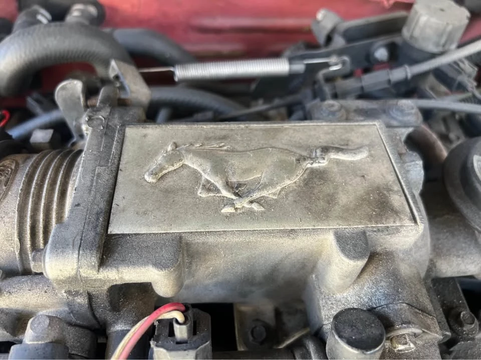 2001 Ford SN95 Mustang - Image 15 of 20