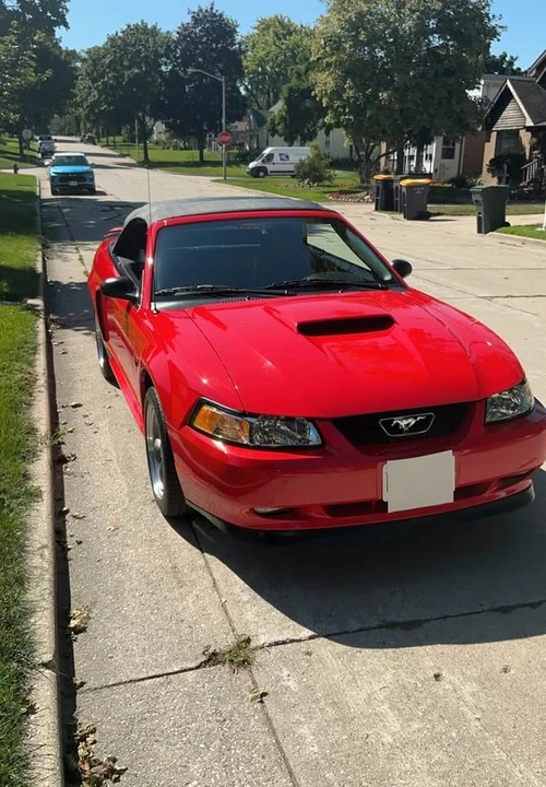 2001 Ford SN95 Mustang - Image 5 of 12