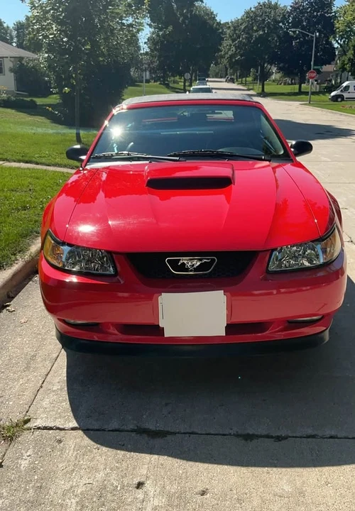 2001 Ford SN95 Mustang - Image 6 of 12