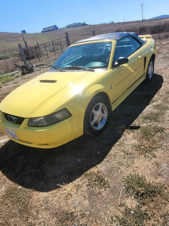 2001 Ford SN95 Mustang - Image 4 of 10