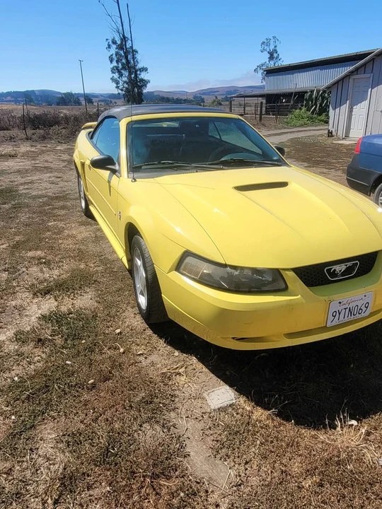 2001 Ford SN95 Mustang - Image 2 of 10