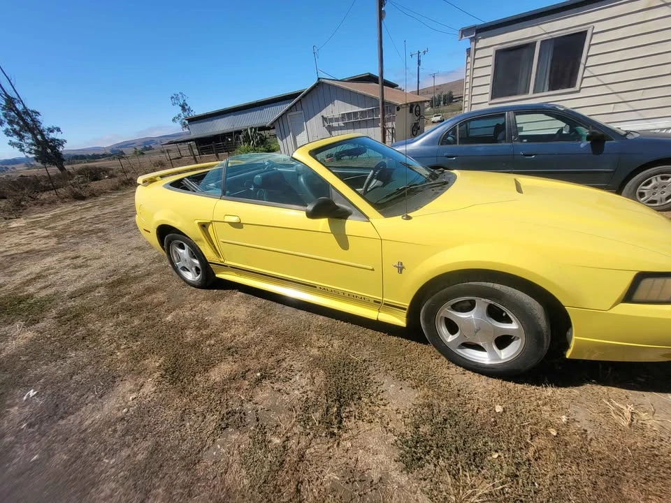 2001 Ford SN95 Mustang - Image 10 of 10