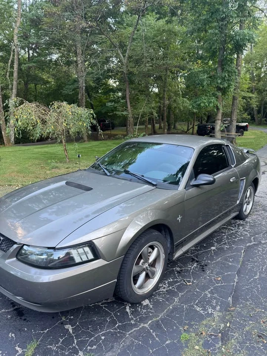 2001 Ford SN95 Mustang - Image 3 of 7