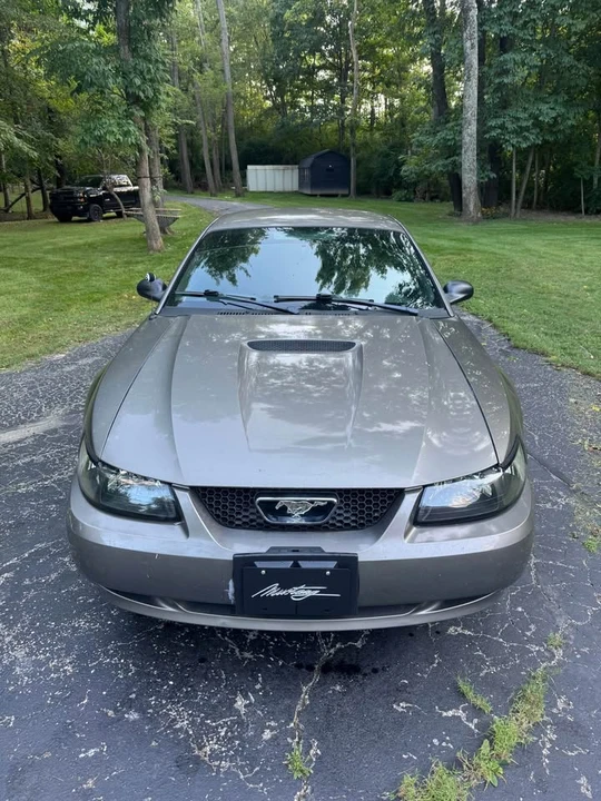 2001 Ford SN95 Mustang - Image 2 of 7
