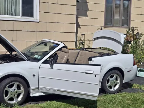 2001 Ford Mustang Deluxe Convertible 2D