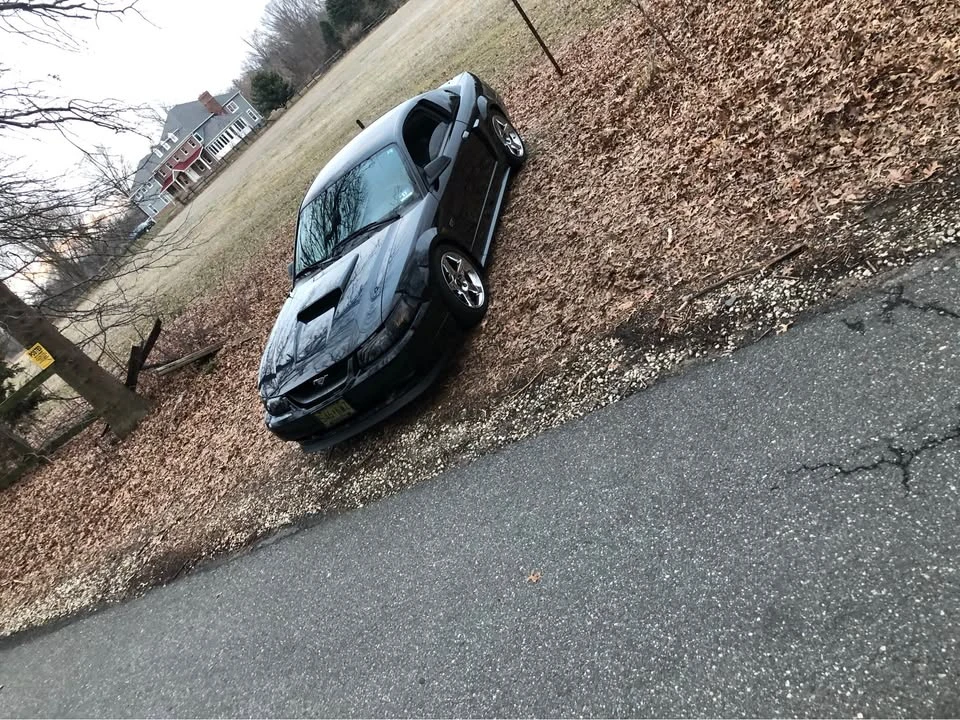 2001 Ford SN95 Mustang - Image 8 of 9