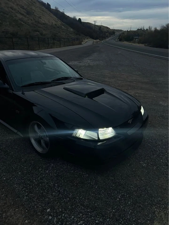 2001 Ford SN95 Mustang - Image 5 of 12