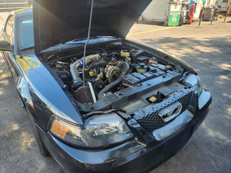 2001 Ford SN95 Mustang - Image 13 of 13