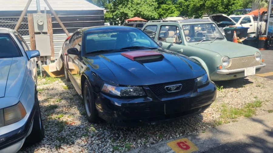 2001 Ford SN95 Mustang - Image 3 of 13