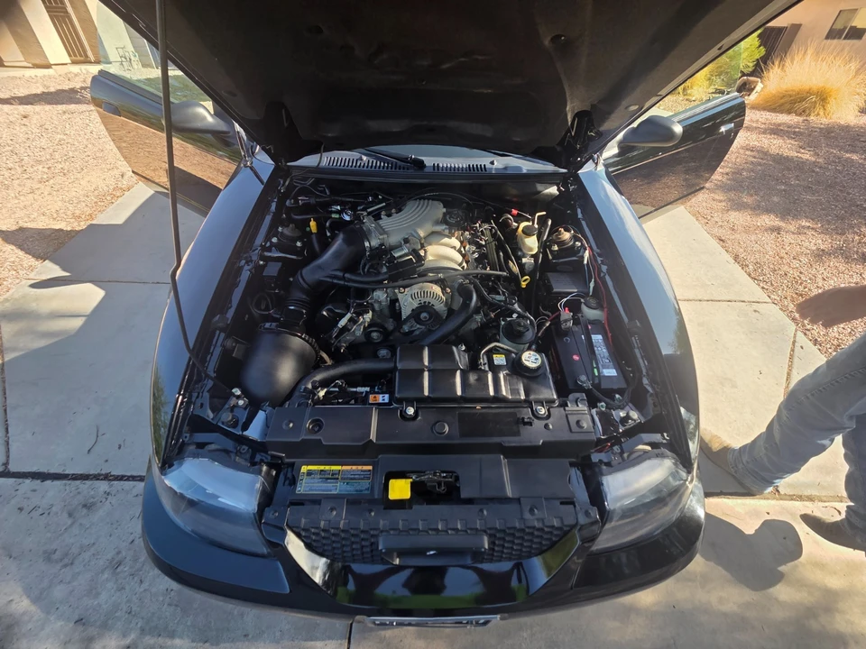 2001 Ford SN95 Mustang - Image 8 of 27