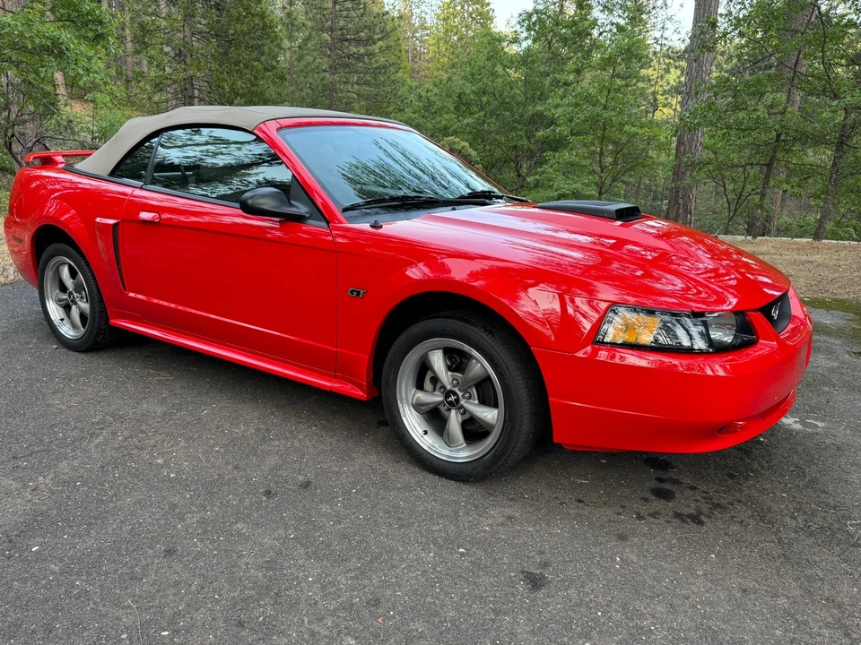 2001 Ford SN95 Mustang - Image 8 of 20