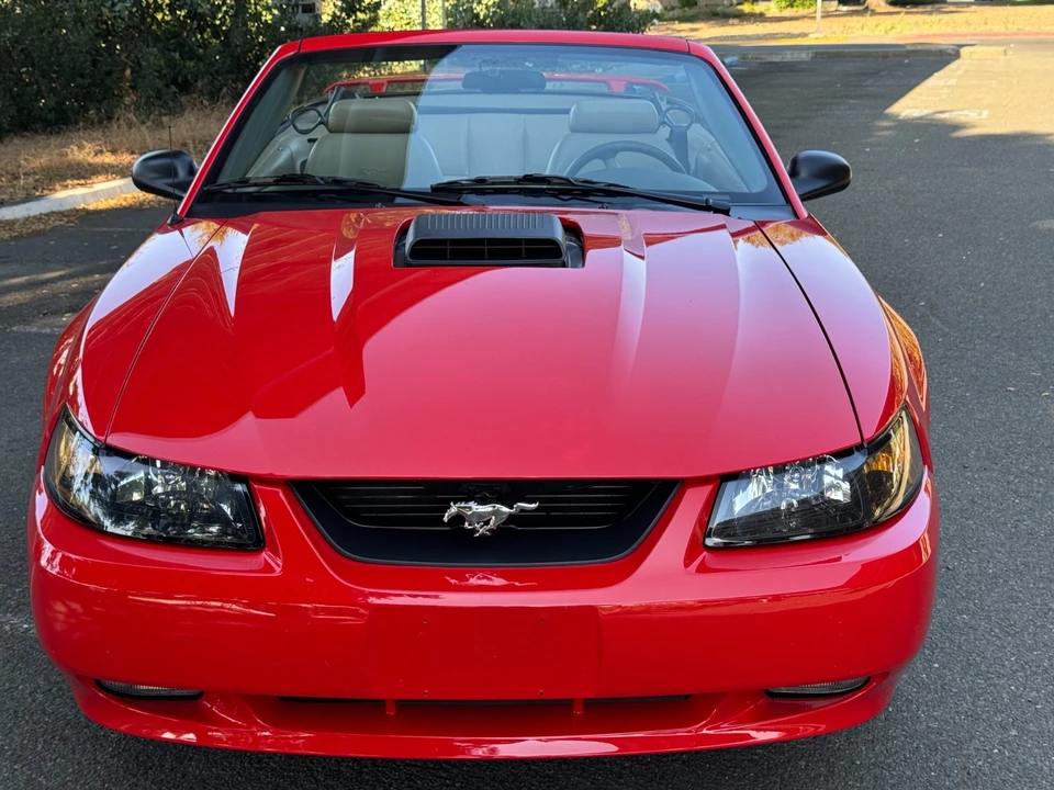 2001 Ford SN95 Mustang - Image 2 of 20