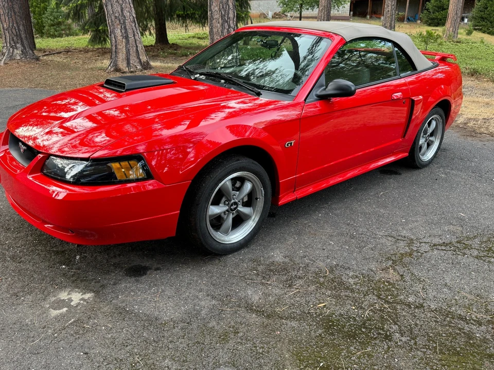 2001 Ford SN95 Mustang - Image 19 of 20