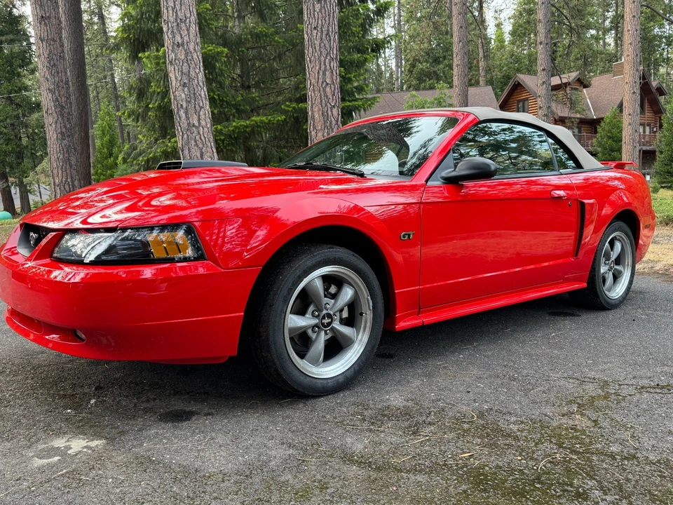 2001 Ford SN95 Mustang - Image 7 of 20