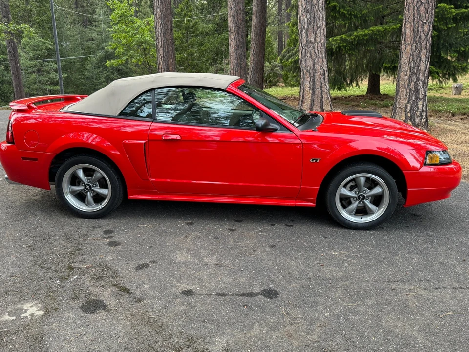 2001 Ford SN95 Mustang - Image 16 of 20