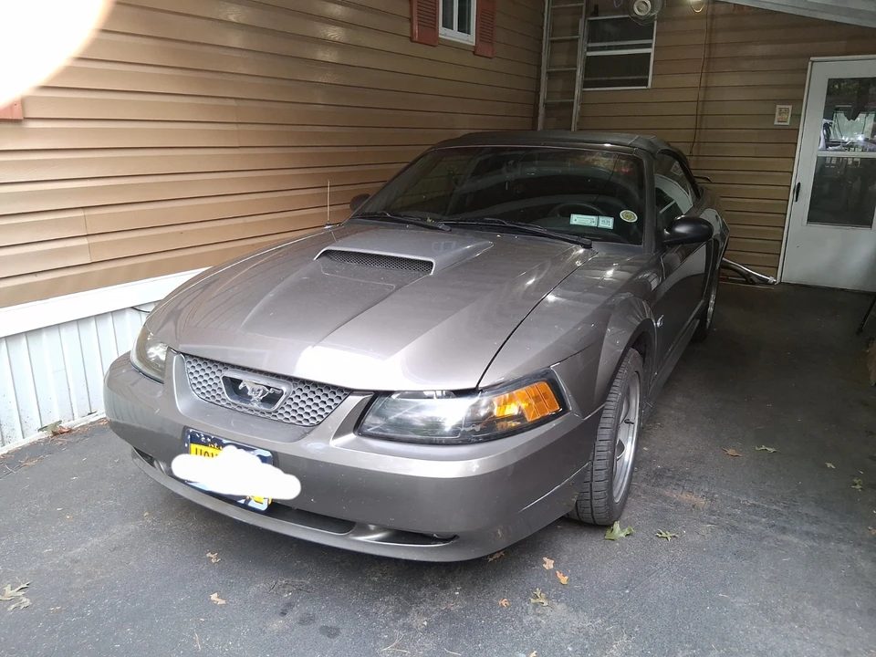 2001 Ford SN95 Mustang - Image 6 of 19