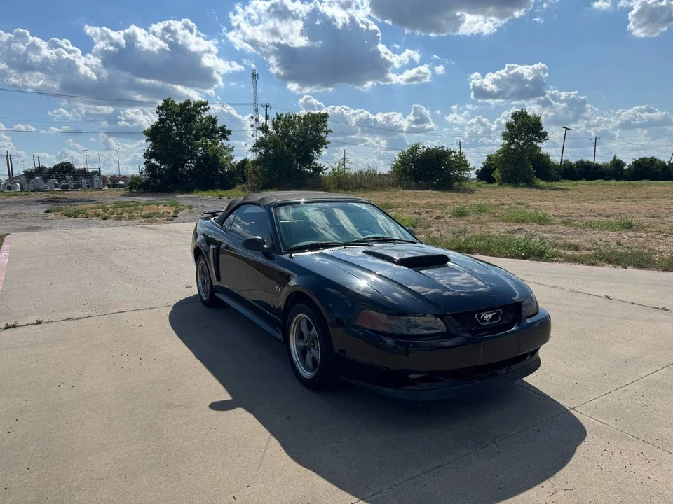 2001 Ford SN95 Mustang - Image 4 of 24