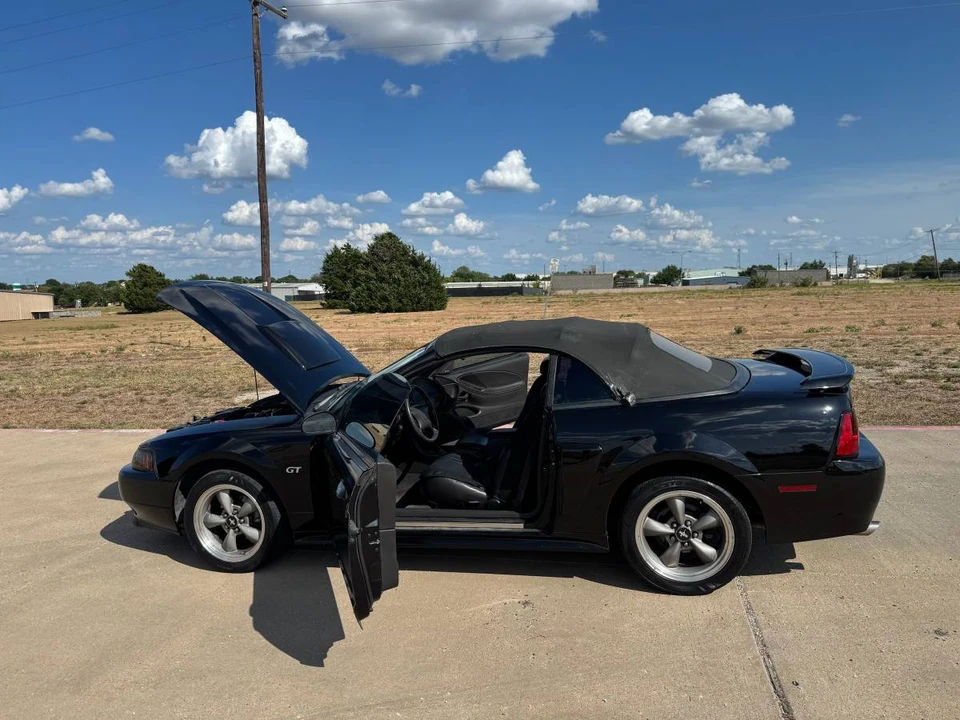 2001 Ford SN95 Mustang - Image 12 of 24