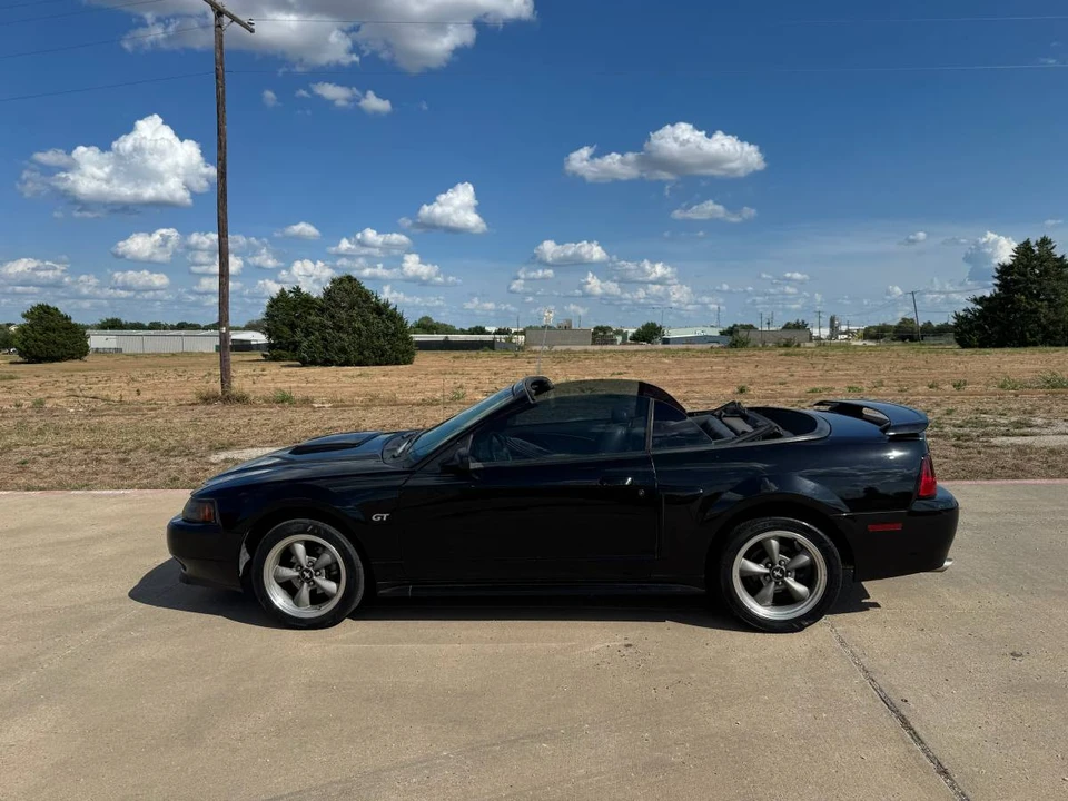 2001 Ford SN95 Mustang - Image 15 of 24