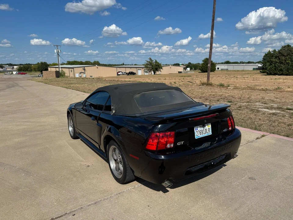 2001 Ford SN95 Mustang - Image 6 of 24