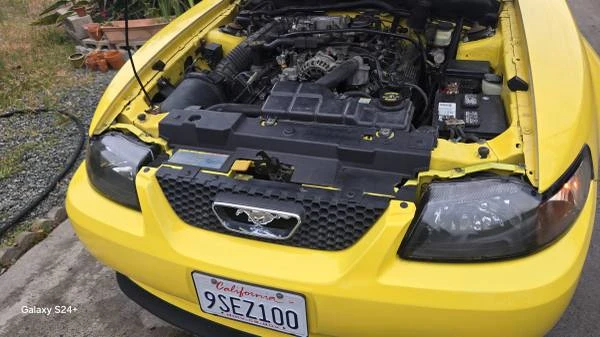 2001 Ford SN95 Mustang - Image 8 of 20