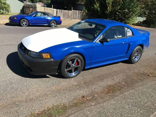 2001 Ford SN95 Mustang - Image 5 of 21