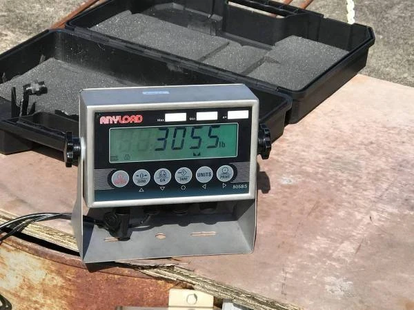 2001 Ford SN95 Mustang - Image 14 of 21