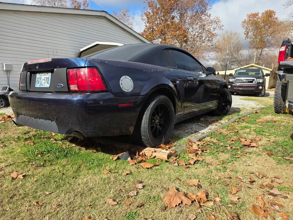2001 Ford SN95 Mustang - Image 3 of 8