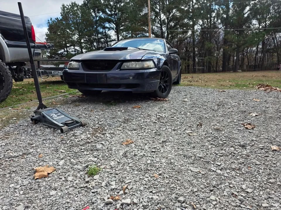 2001 Ford SN95 Mustang - Image 2 of 8