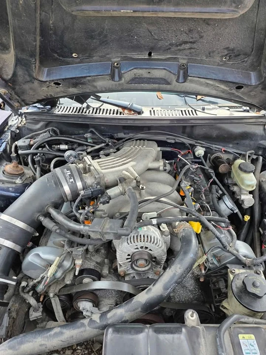 2001 Ford SN95 Mustang - Image 8 of 8