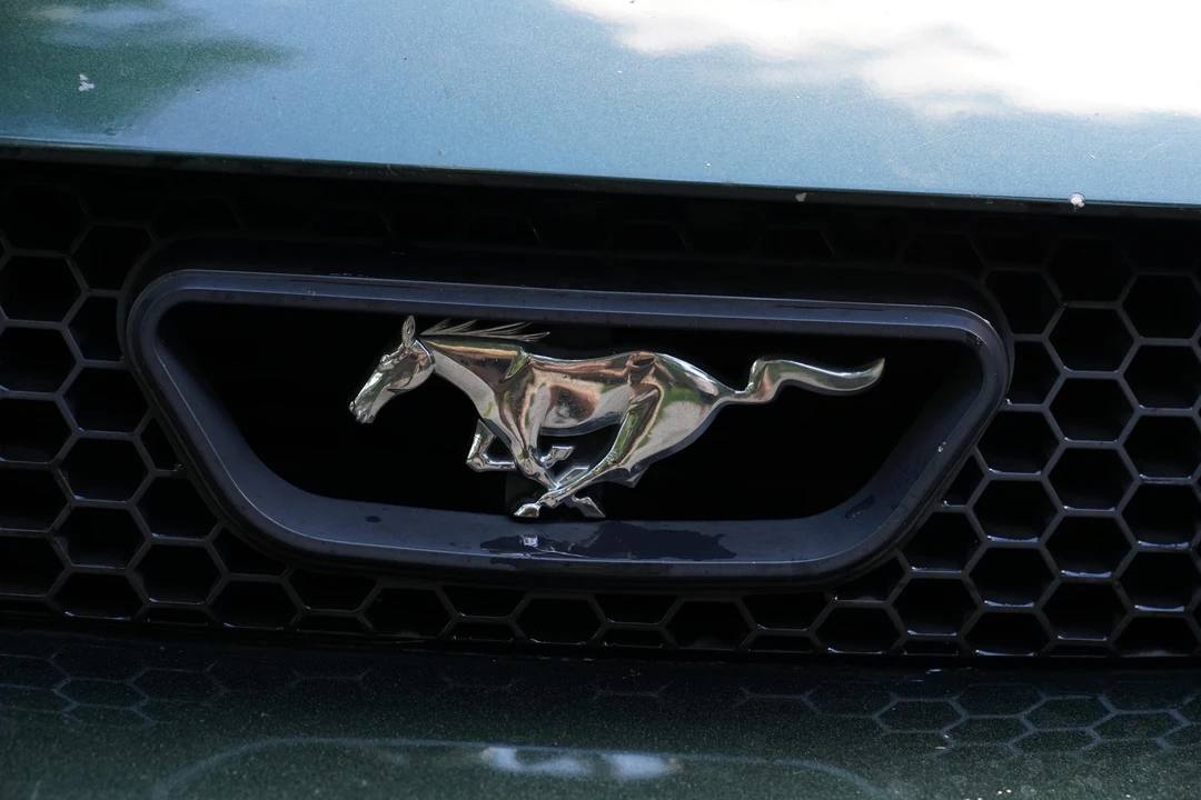 2001 Ford SN95 Mustang - Image 14 of 31