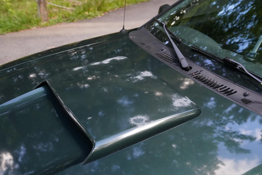 2001 Ford SN95 Mustang - Image 16 of 31