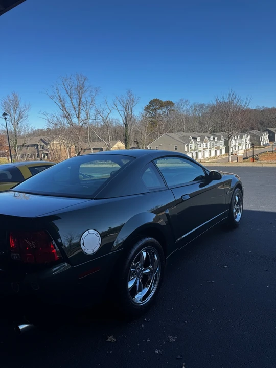 2001 Ford SN95 Mustang - Image 19 of 19