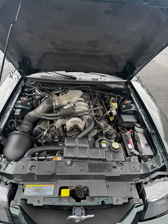 2001 Ford SN95 Mustang - Image 9 of 19