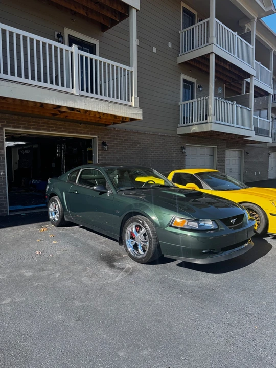 2001 Ford SN95 Mustang - Image 14 of 19