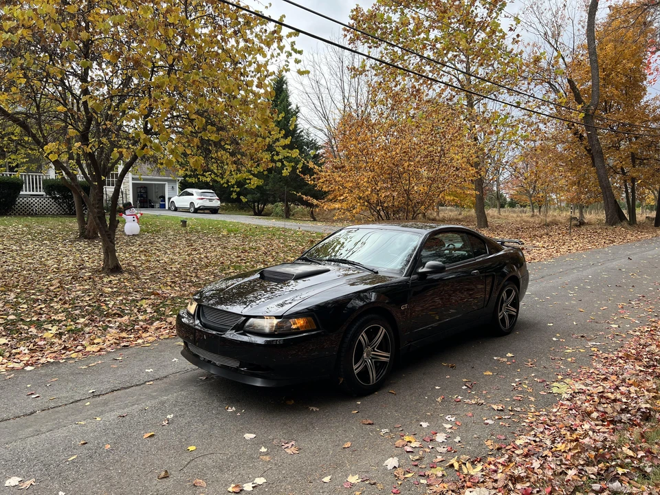 2001 Ford SN95 Mustang - Image 9 of 31