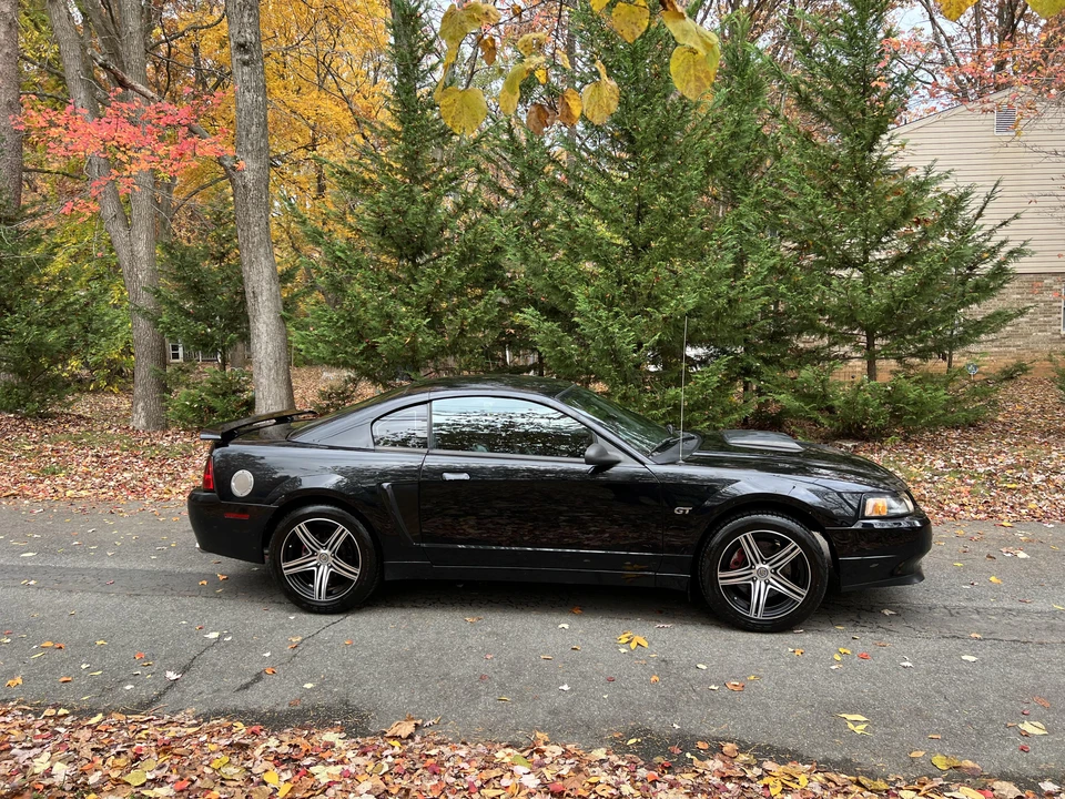 2001 Ford SN95 Mustang - Image 14 of 31