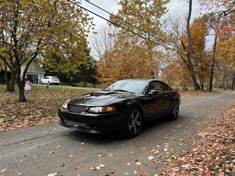 2001 Ford SN95 Mustang - Image 8 of 31