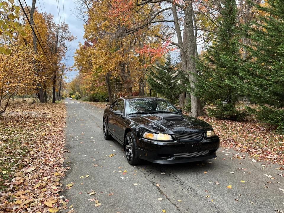 2001 Ford SN95 Mustang - Image 16 of 31