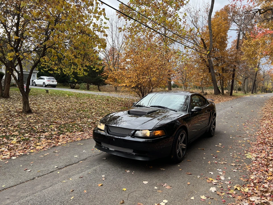 2001 Ford SN95 Mustang - Image 6 of 31