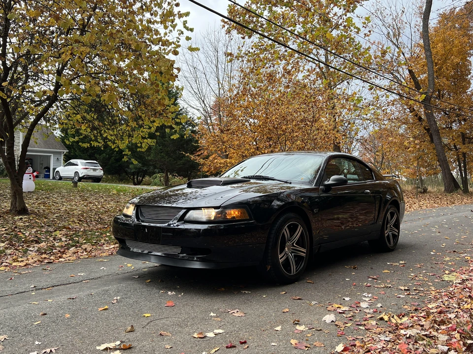 2001 Ford SN95 Mustang - Image 7 of 31