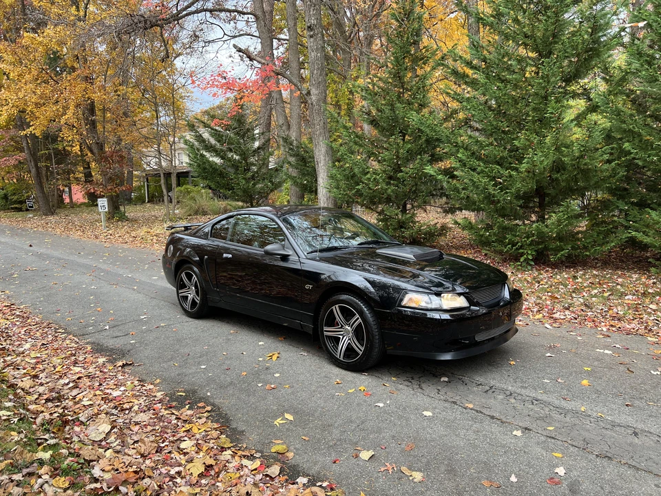 2001 Ford SN95 Mustang - Image 15 of 31